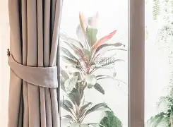 开云体育下载-曼联vs纽卡斯尔前瞻