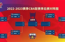 开云体育官网-cba季后赛山东高速视频