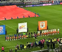 开云体育官网-上海申花转会最新消息今天